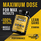 Turkesterone KNIGHT WOLF SUPPS avec Tongkat Ali pour énergie soutenue.