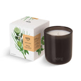 Bougie Sprig de Kohler au parfum bergamote et citronnelle