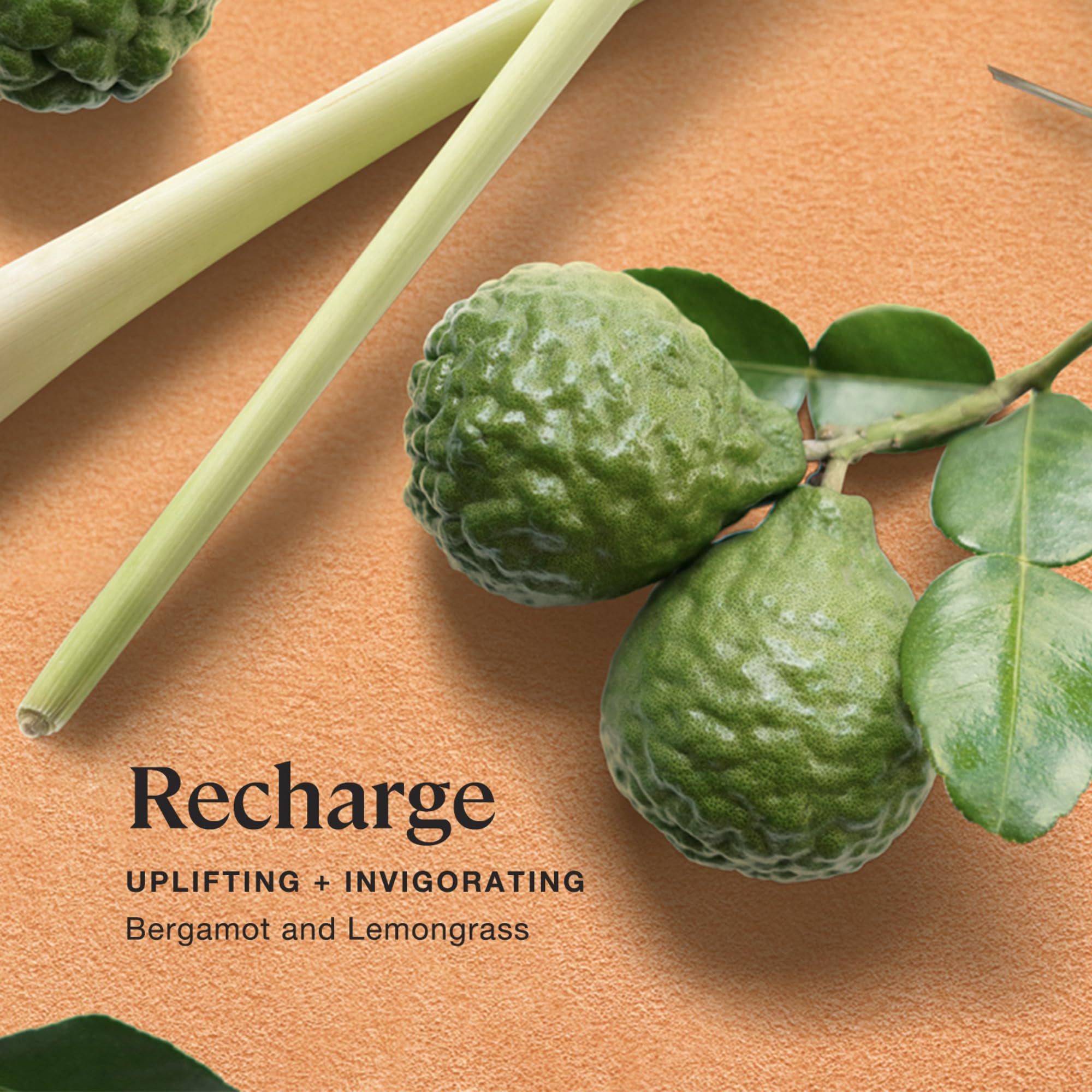 Cire naturelle soja-coco Sprig Kohler