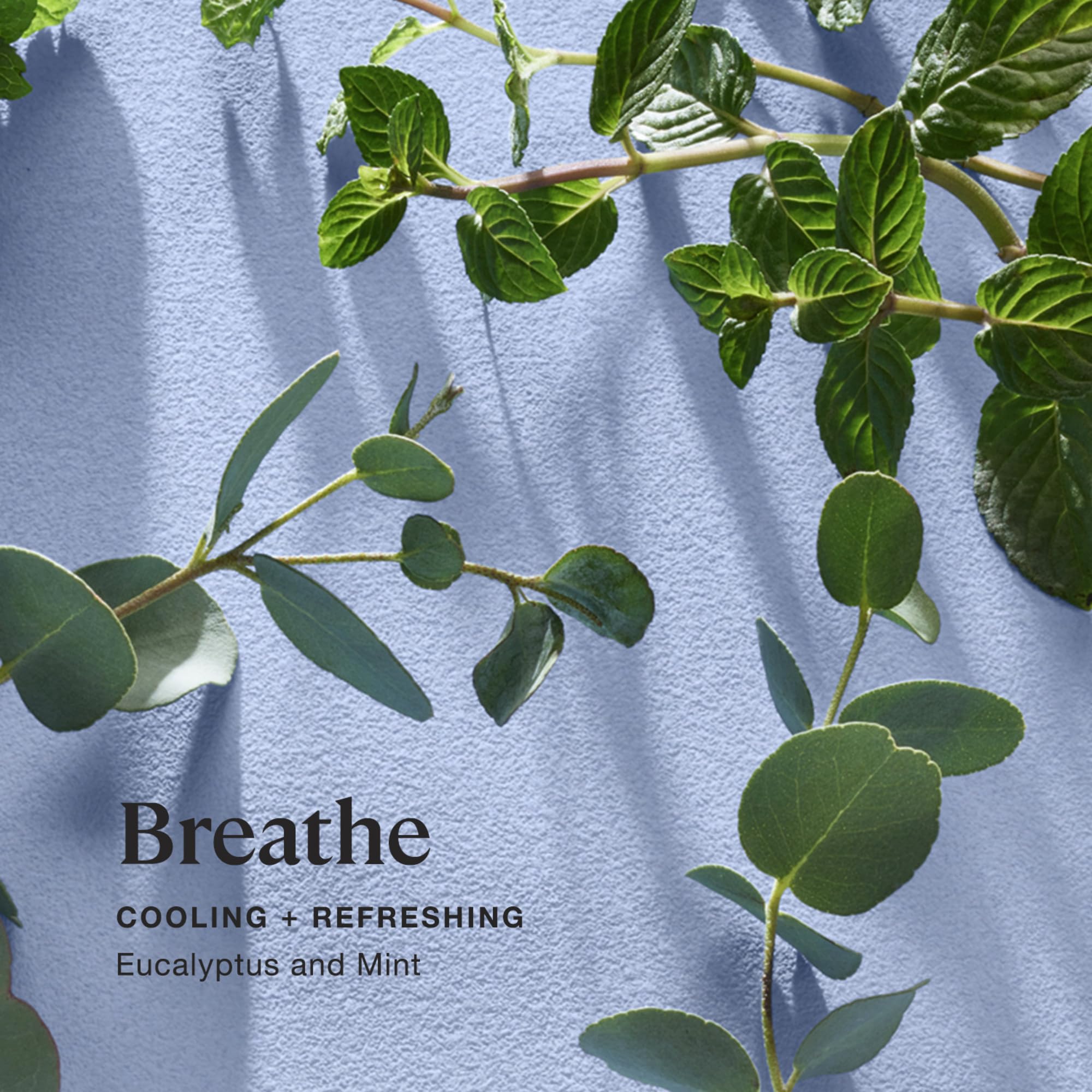 Cire naturelle soja-coco Sprig Kohler pour une combustion propre.