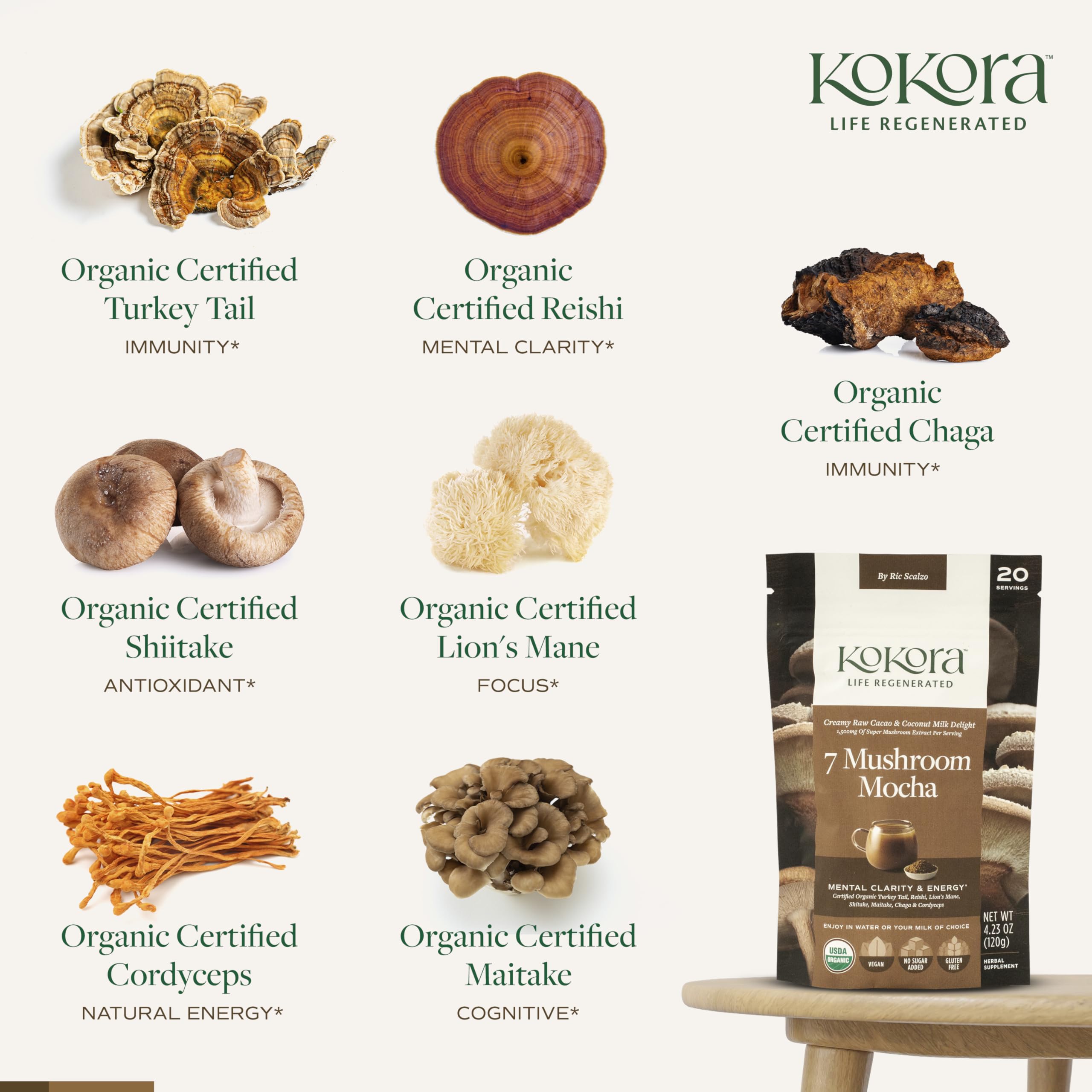 Kokora shiitake-chaga-cacao, douceur chocolatée pour soutien digestion et immunité naturelle