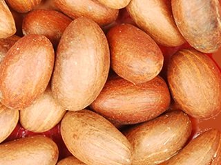 Kola amer: noix en bouteille 235 ml, arôme puissant pour dégustation.