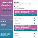 KoNefancy utilise une technologie liposomale pour une absorption accrue.