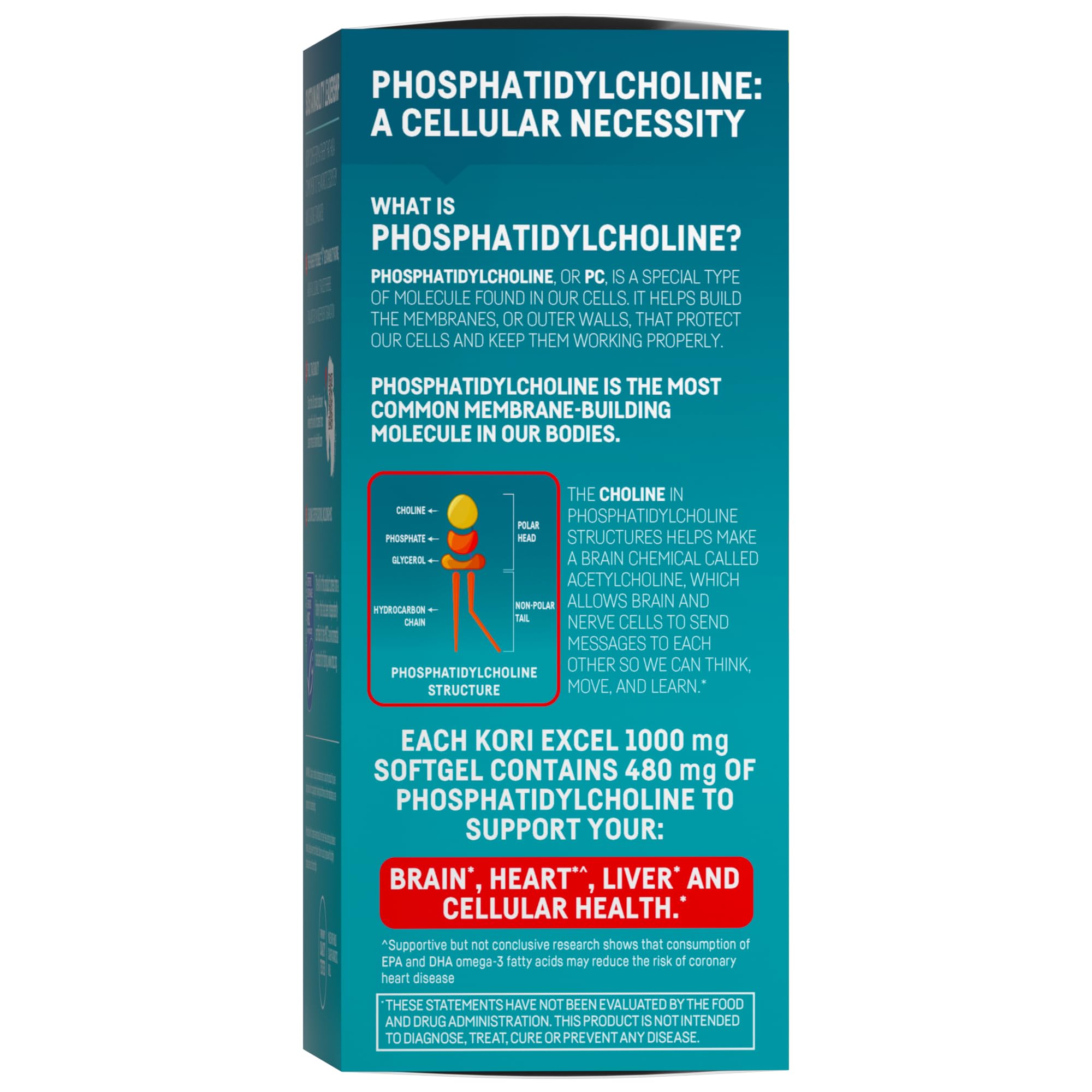 Kori Krill Excel: phospholipides concentrés favorisant une meilleure absorption