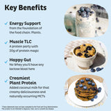 KOS protéine végétale spiruline bleue, couleur naturelle et nutriments.