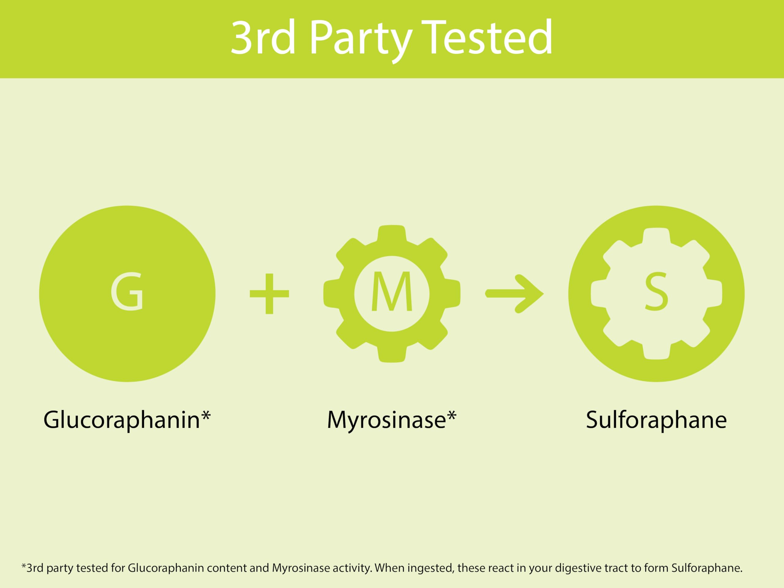 KOYAH myrosinase-glucoraphanin : composants actifs mis en avant