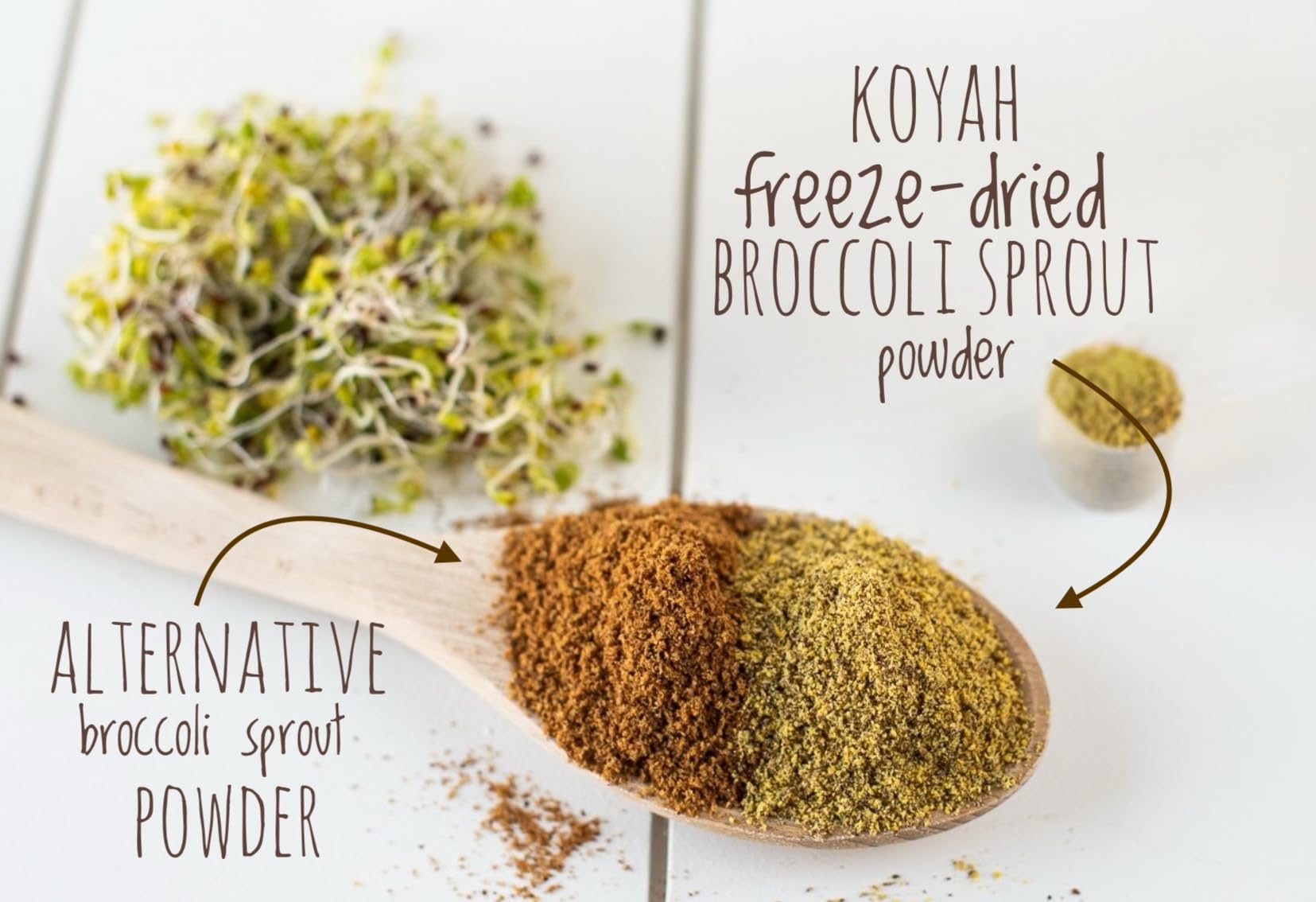 KOYAH Poudre de pousses de brocoli dosage precise pour vos recettes