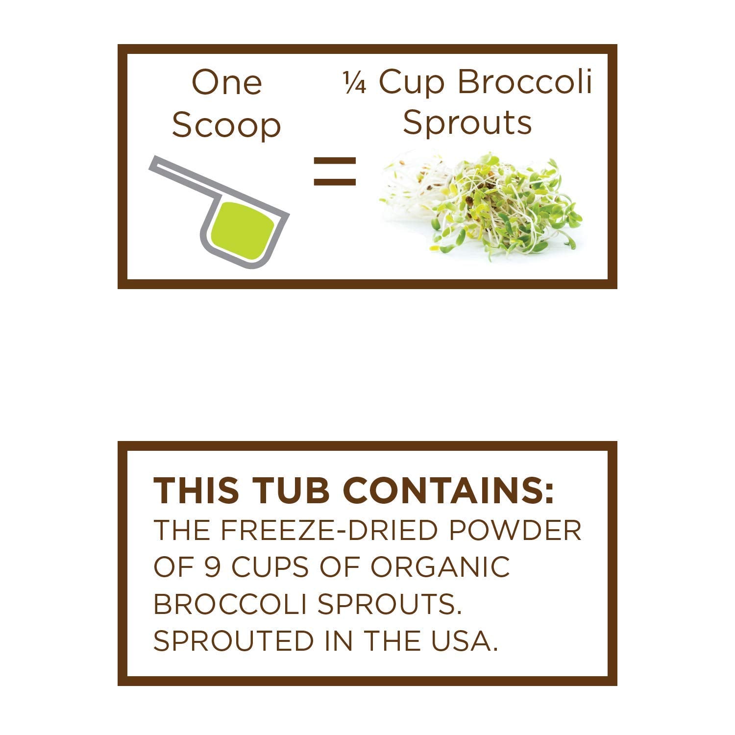 KOYAH Poudre de pousses de brocoli texture seche prete a infusion