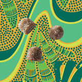 Gommes Kuli Kuli texture moelleuse, plaisir quotidien et super-aliments