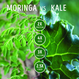 Kuli Kuli Moringa Greens Smoothie – verre prêt à déguster après mélange