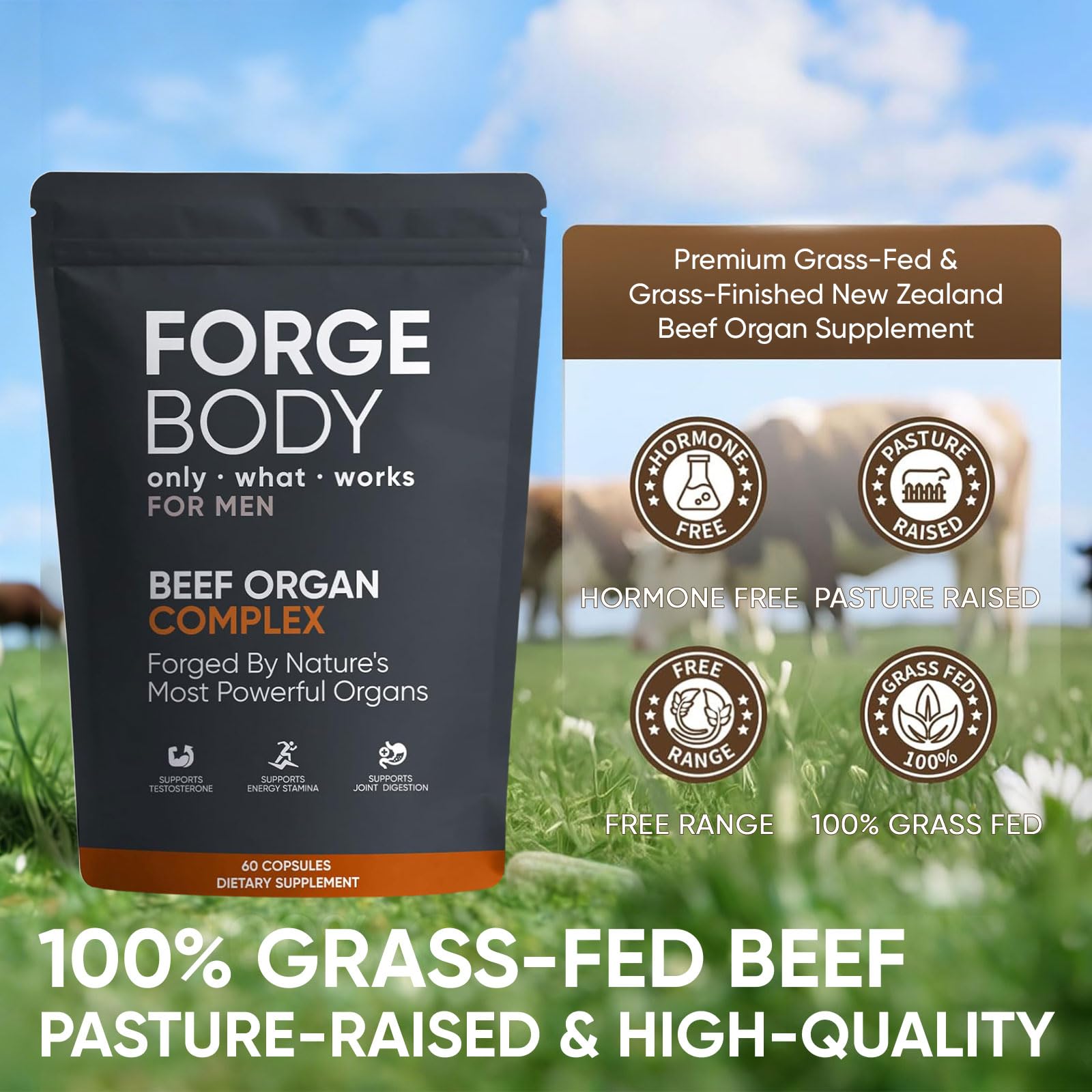 KXVUDE Forgebody – ingrédients organes de boeuf pour un apport nutritionnel.