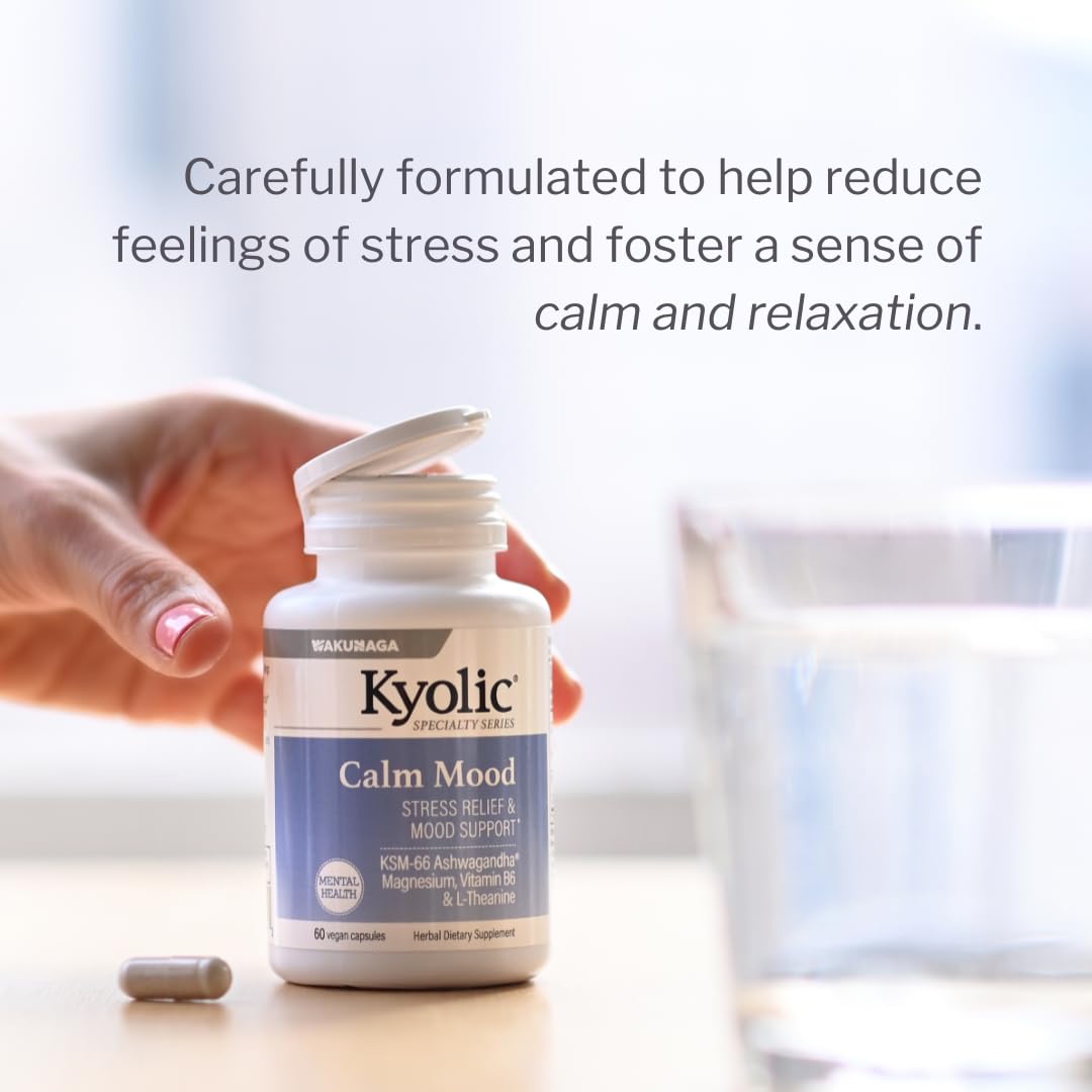 Kyolic Magnésium et B6 – soutien nerveux et énergie stable.