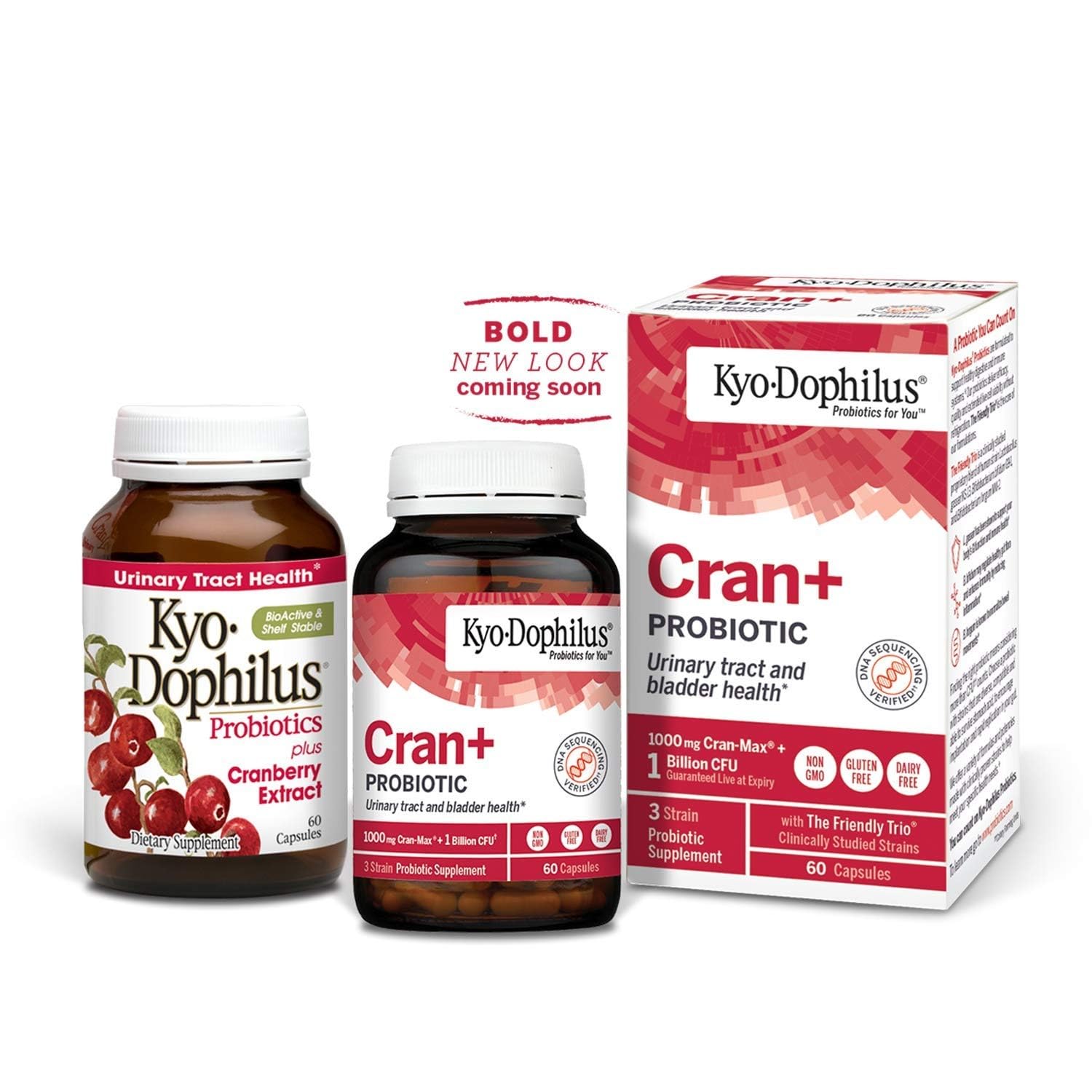 Soutien digestif et urinaire potentiel avec Kyolic Cran Plus Probiotiques