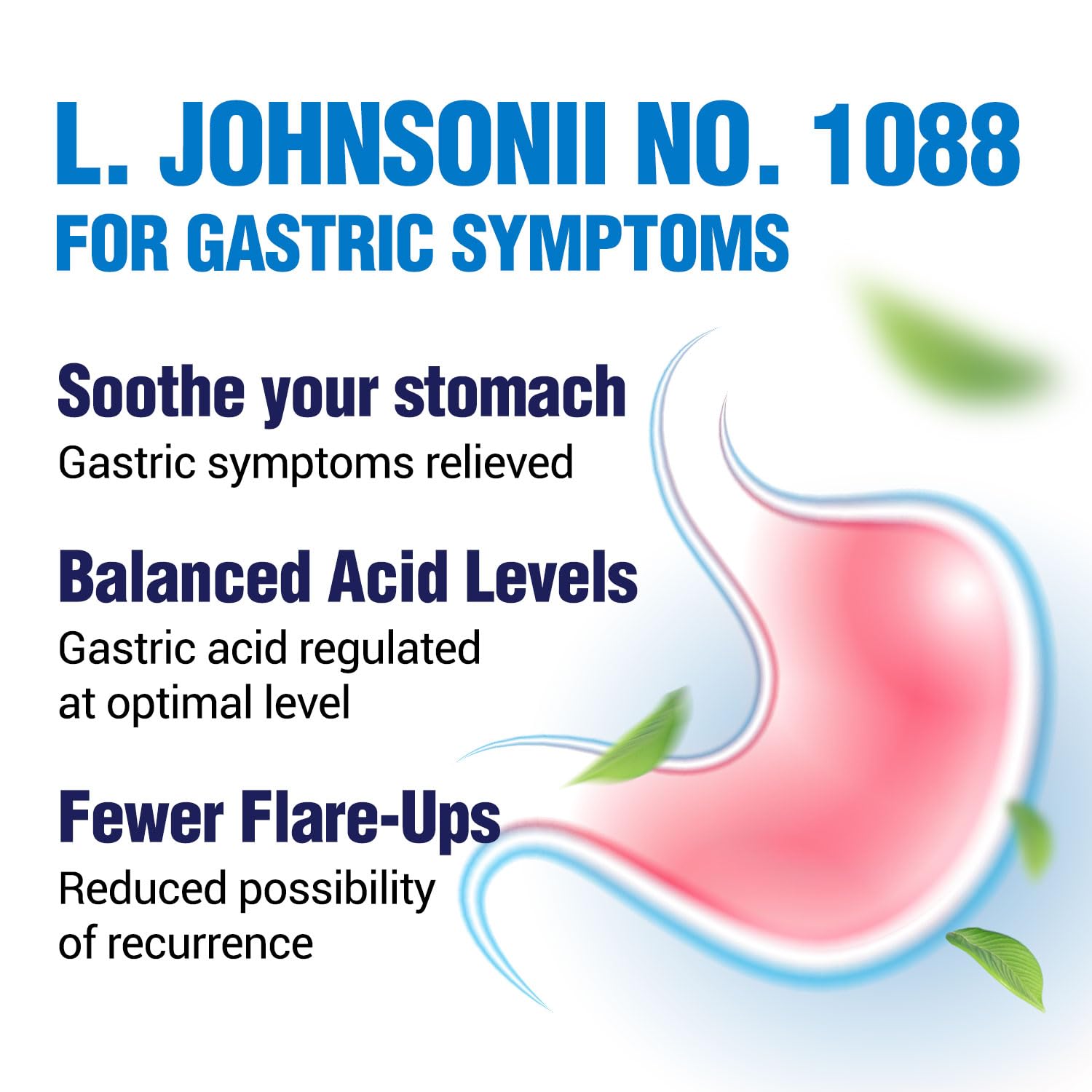 LABO Nutrition GASTRICELL utilisation quotidienne pour confort digestif potentiel