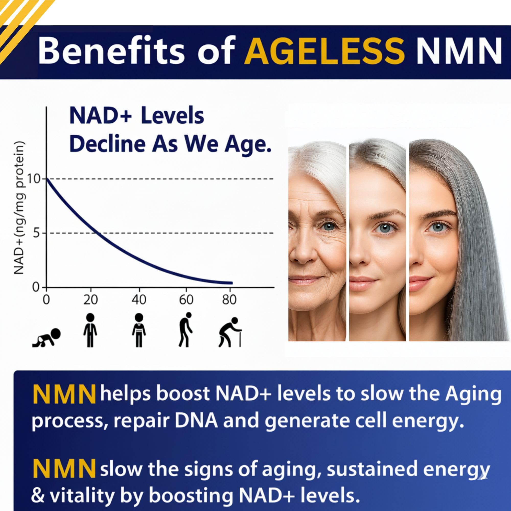 Capsules NMN Ageless Foundation prêtes à prendre le matin
