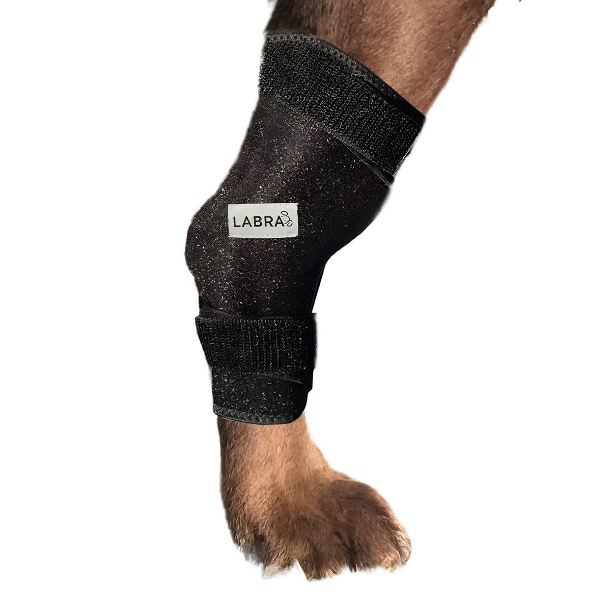 Labra Dog pack glace: aide potentielle pour les articulations du chien.