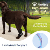 Labra Dog packs amovibles: remplacement facile pour le traitement.