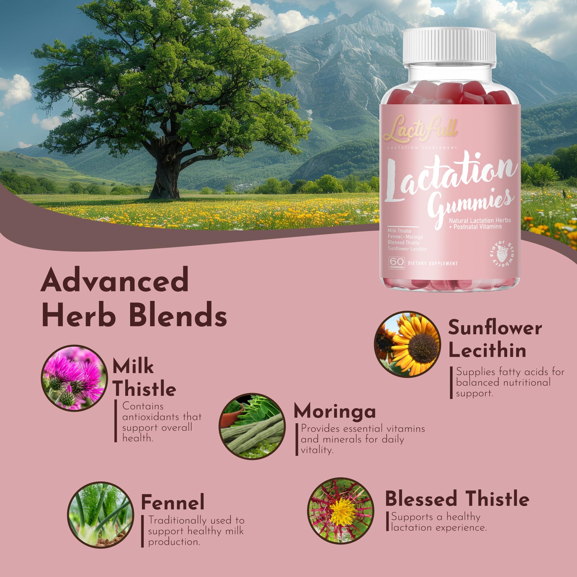 LactiFull vitamines D3 et B12 postnatales pour revitaliser l’énergie après l’accouchement