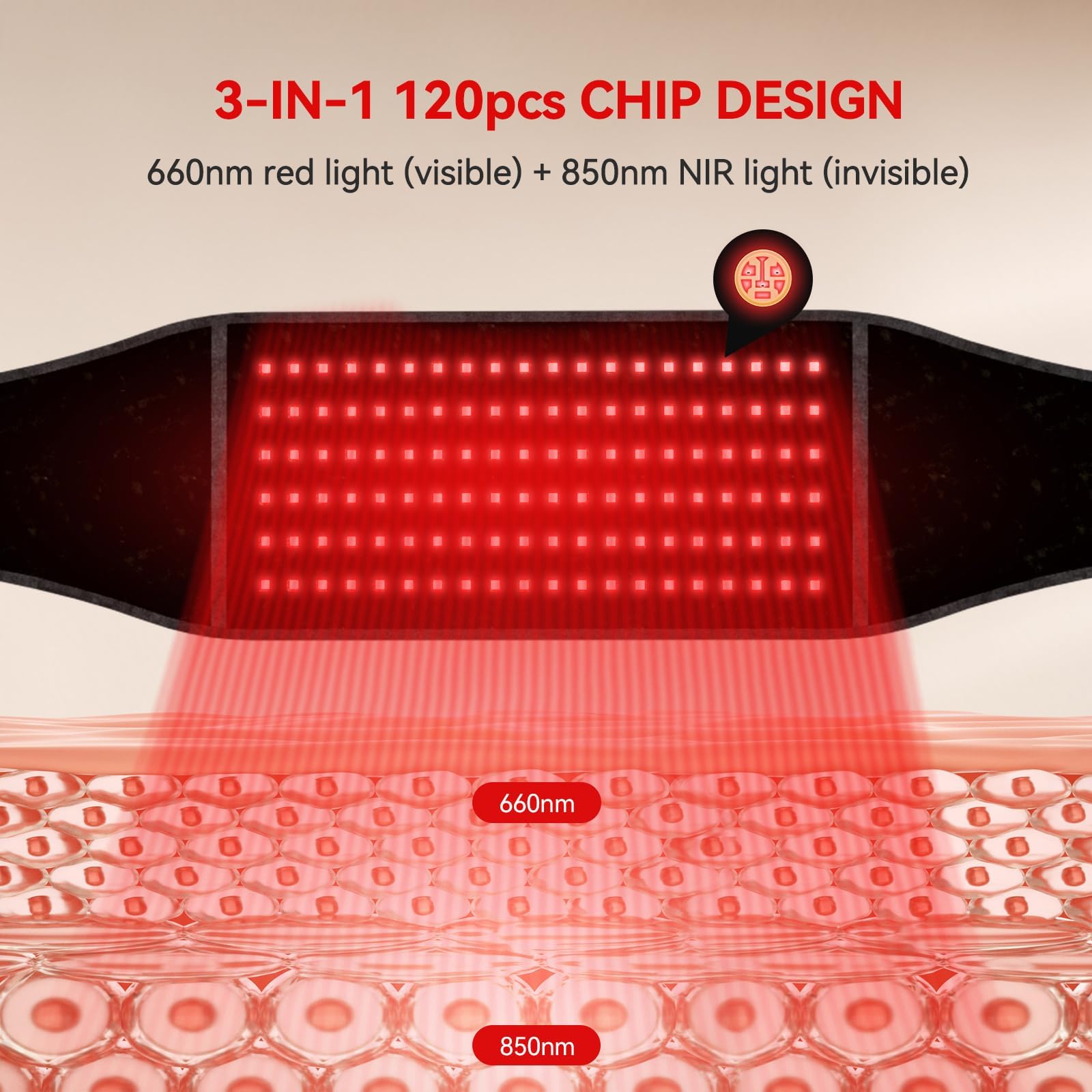 LAFCARE Ceinture lumière rouge pour abdomen, routine quotidienne.