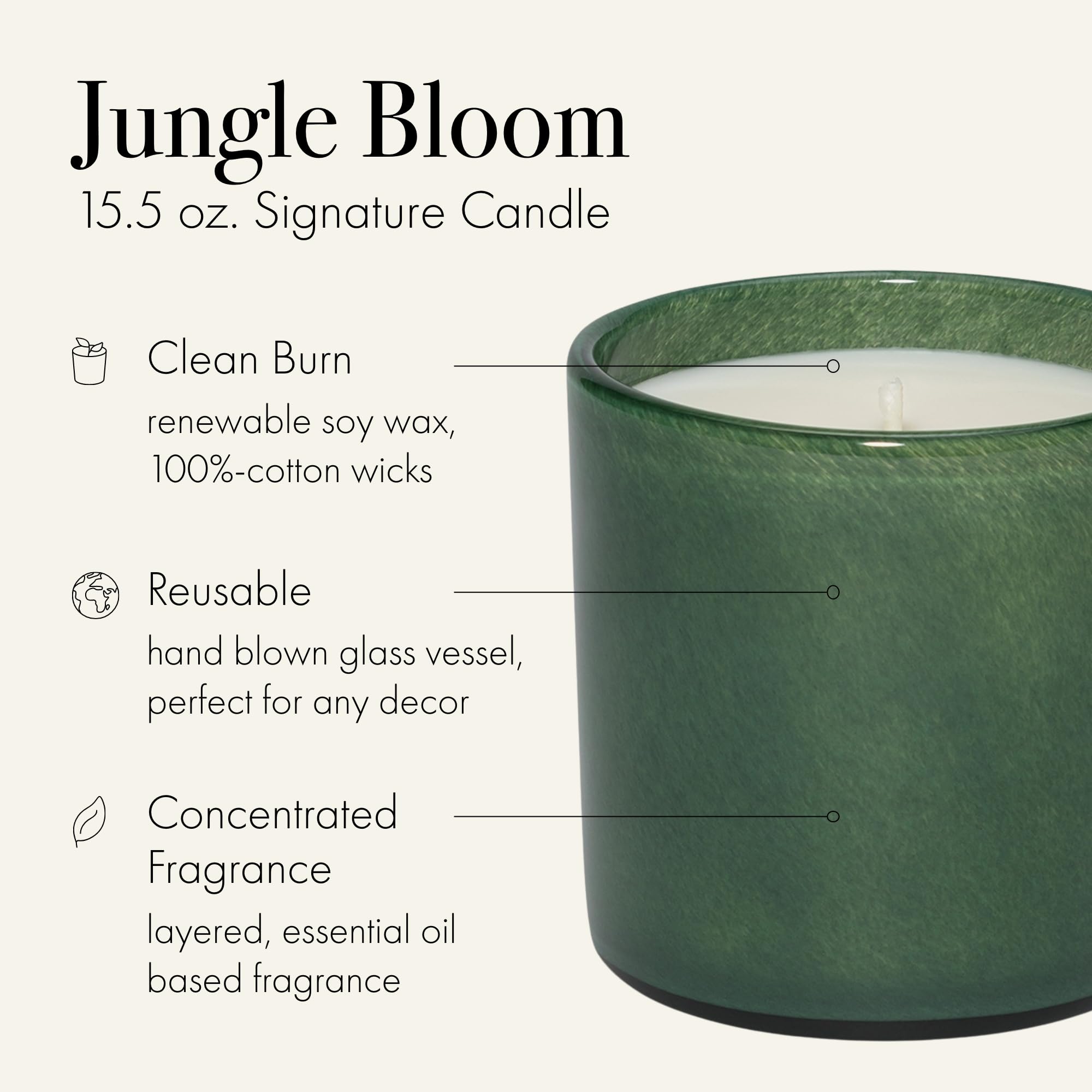 LAFCO New York Jungle Bloom: cire soja renouvelable pour brûlage propre et longue durée