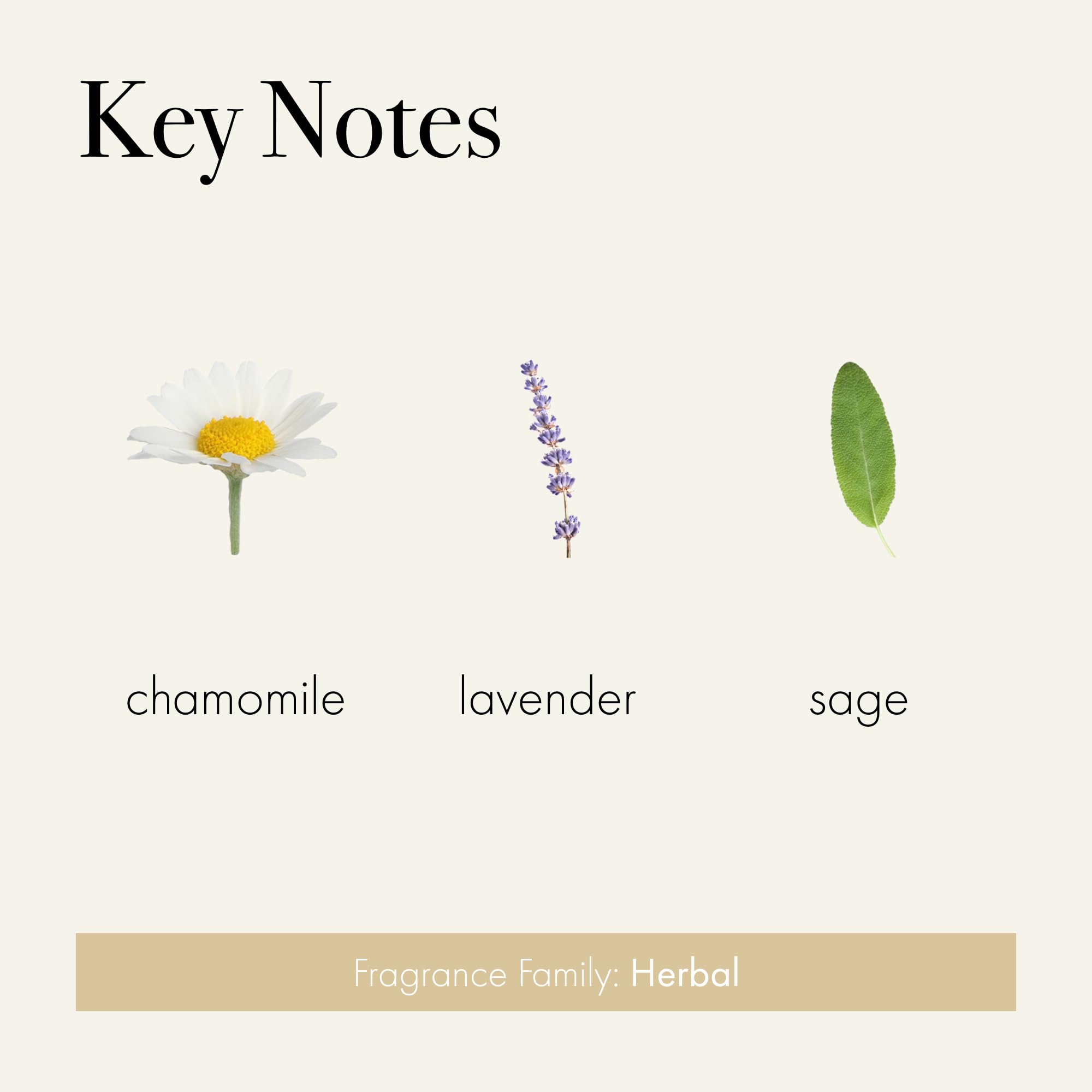 LAFCO New York Luxe 4-meches, verre réutilisable, chamomile-lavande, élégance durable.
