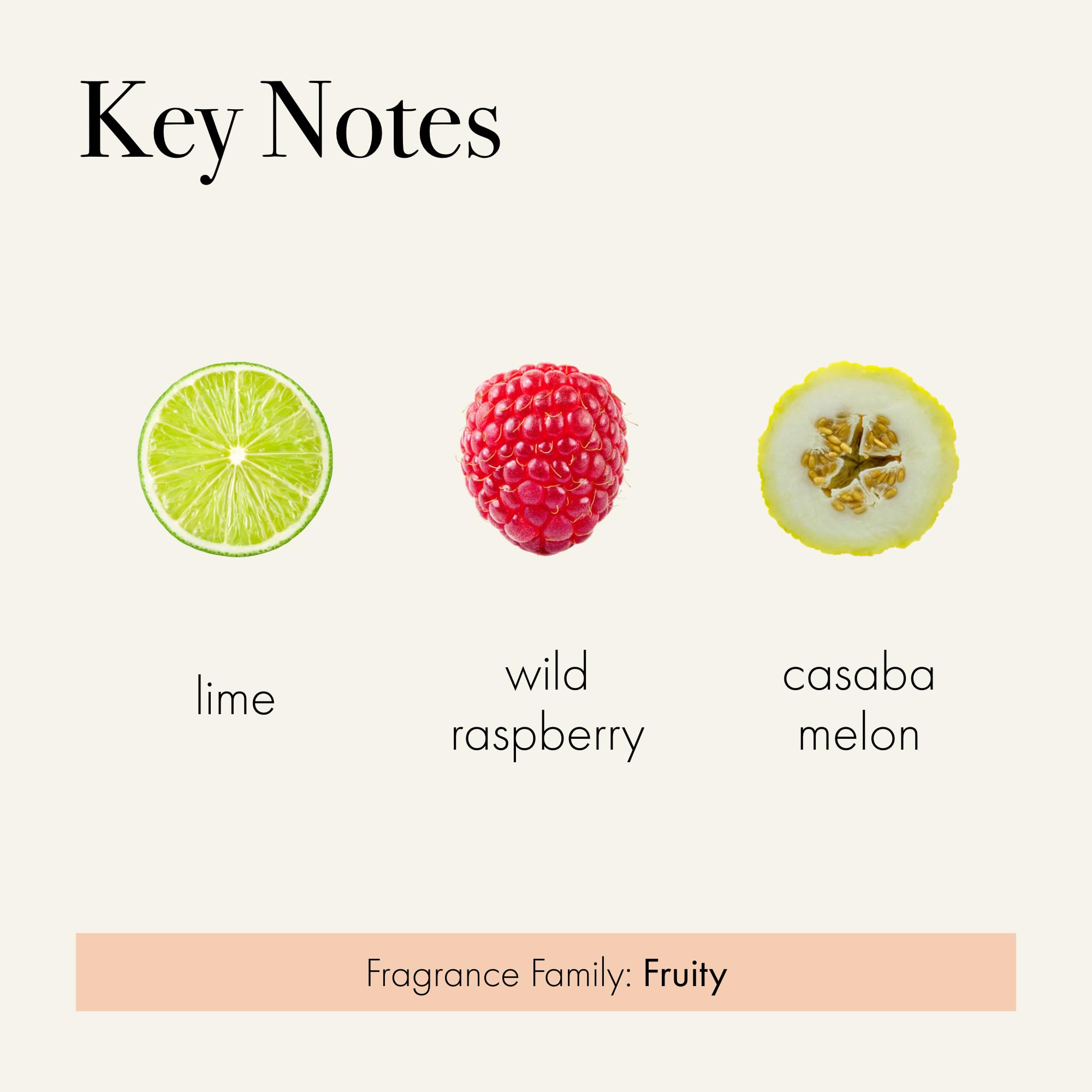 LAFCO New York Paloma Melon – arôme été rafraîchissant, accentue une ambiance légère.
