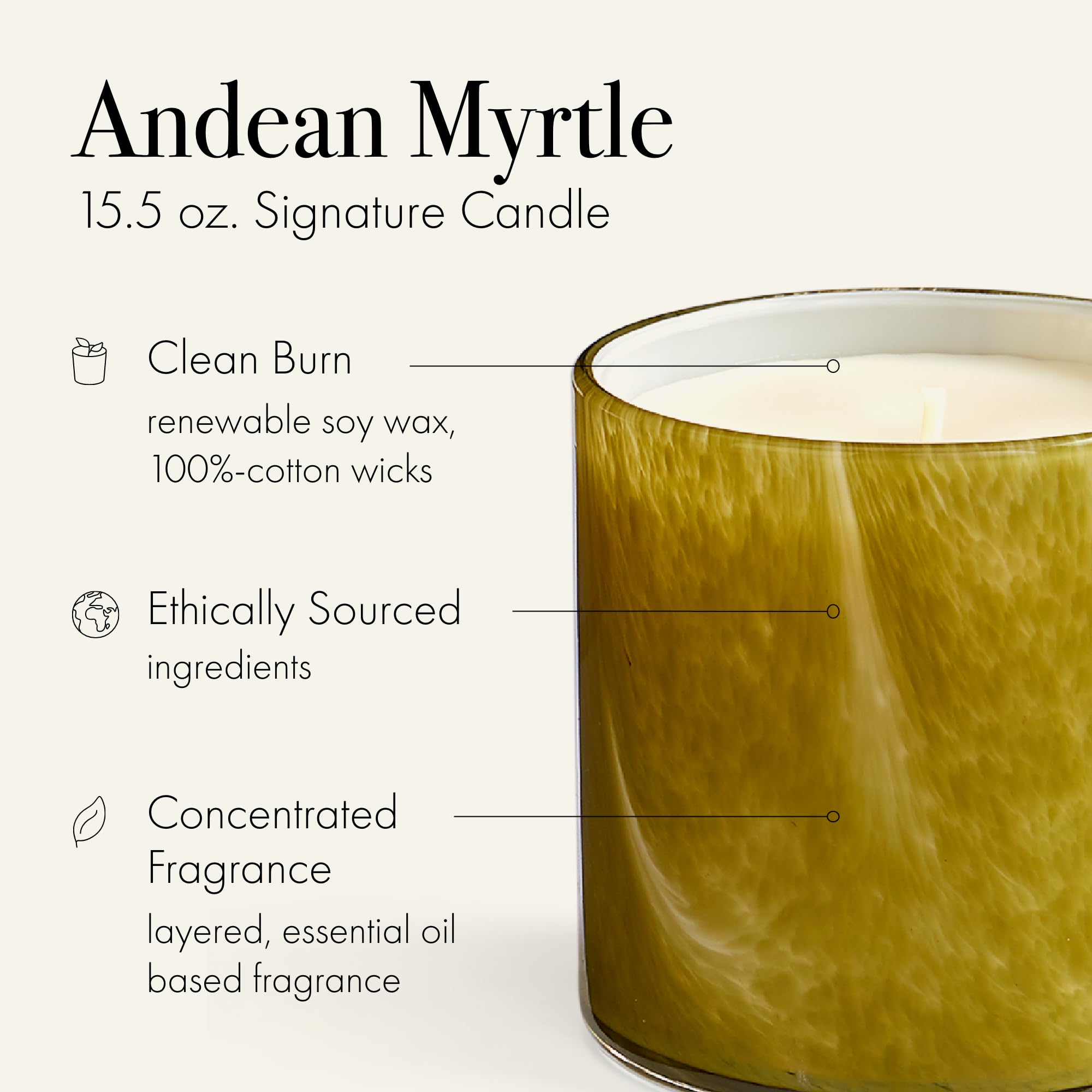 LAFCO New York Andean Myrtle: notes olfactives équilibrées pour votre salon