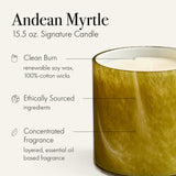 LAFCO New York Andean Myrtle: notes olfactives équilibrées pour votre salon