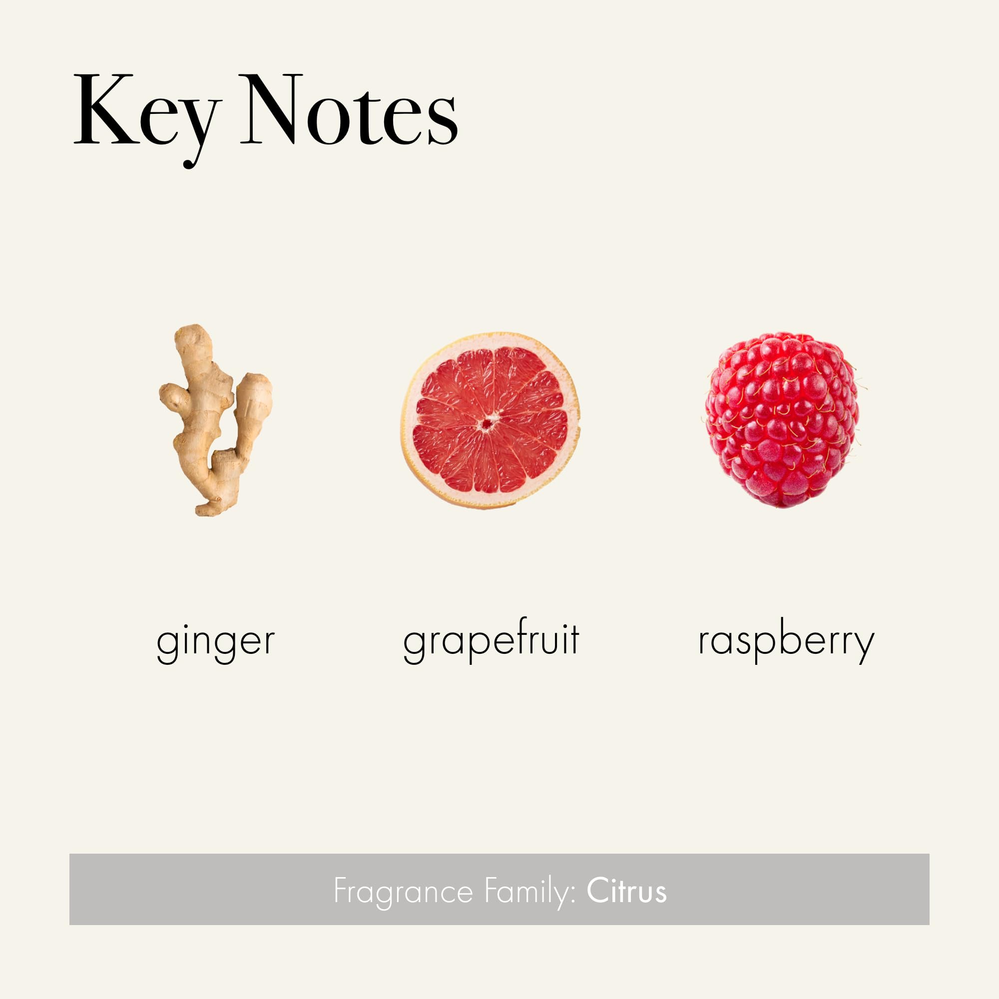 LAFCO New York Signature Champagne etiquette luxe, emballage chic et deco raffinée