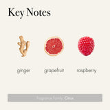 LAFCO New York Signature Champagne etiquette luxe, emballage chic et deco raffinée
