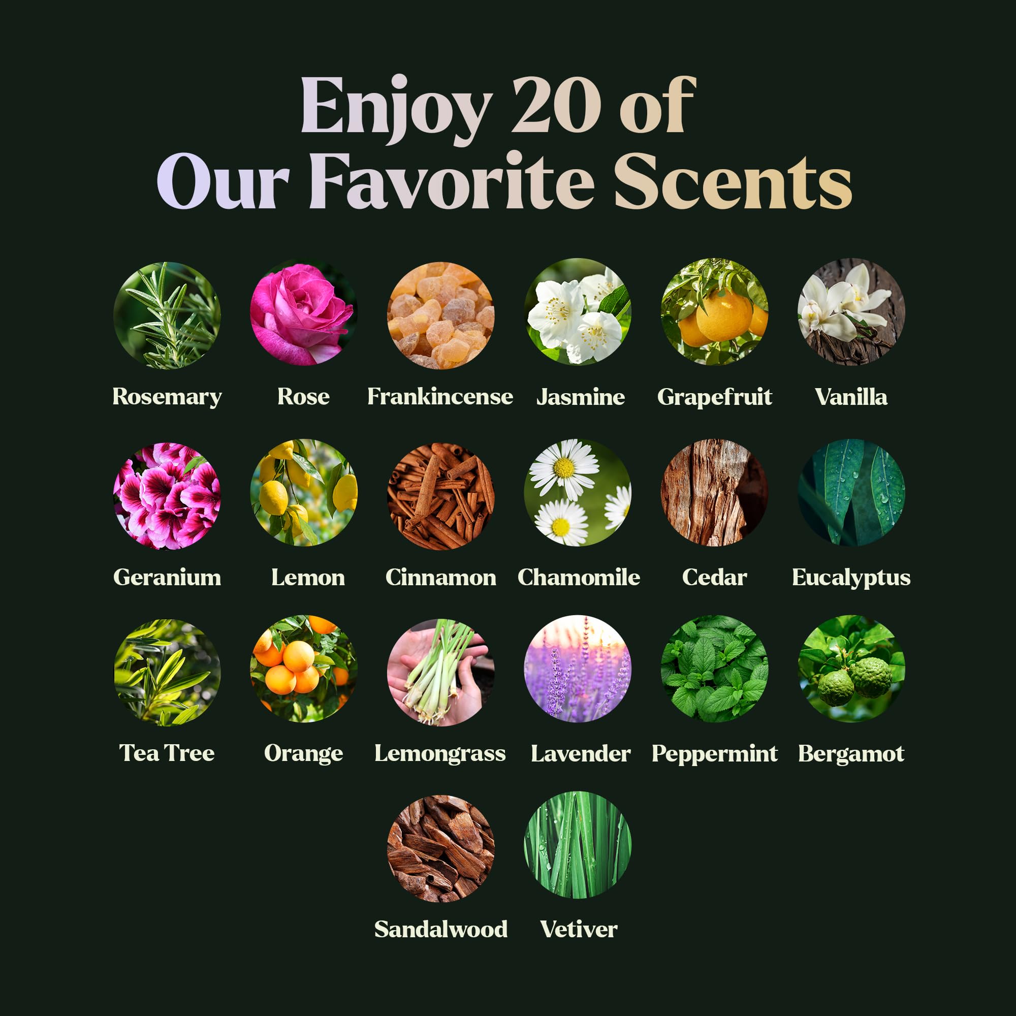 Huile lavande Lagunamoon 10ml – parfum apaisant pour diffusion.