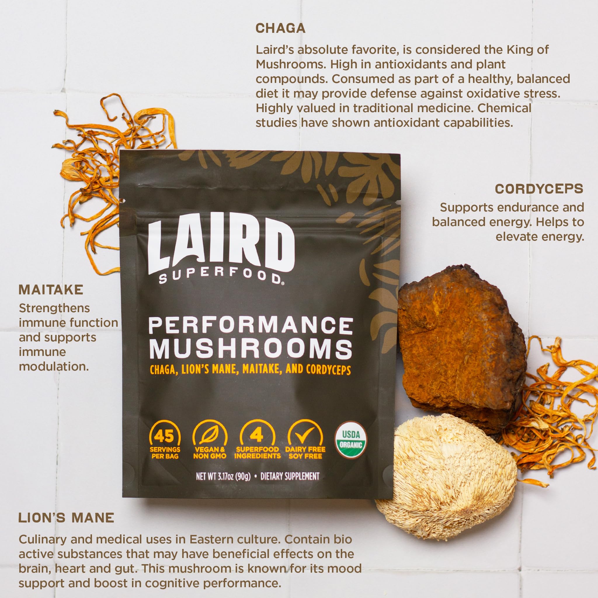 Biomasse myceliale sur avoine certifiée biologique pour nutrition des champignons.