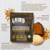 Biomasse myceliale sur avoine certifiée biologique pour nutrition des champignons.
