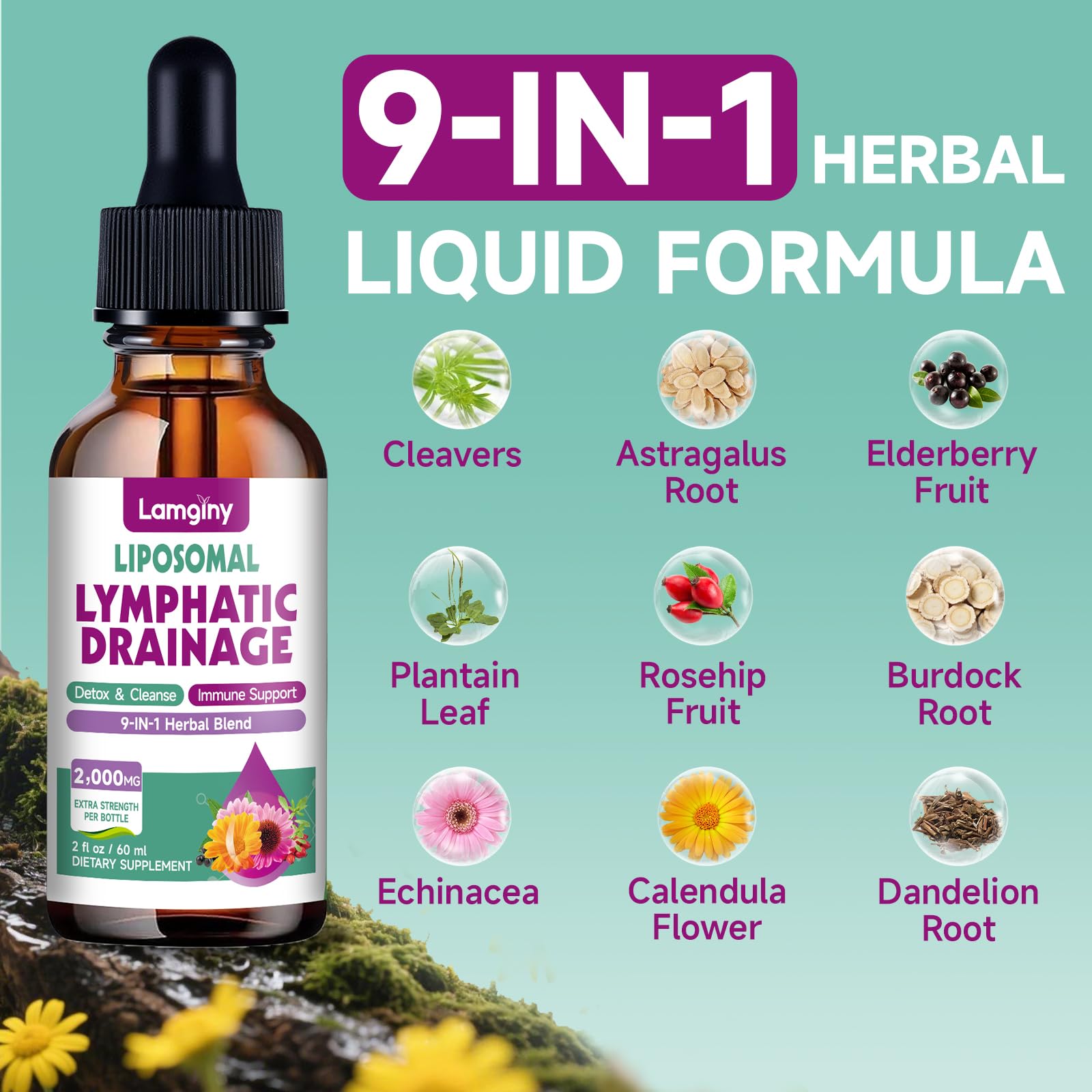 Lamginy Gouttes Drainage Lymphatique – étiquette claire avec ingrédients et usages.