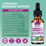 Lamginy Gouttes Drainage Lymphatique – préparation dans un verre d’eau pour usage quotidien.