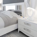 Lamoutor coloris-aleatoires-nettoyage-lentilles : couleurs variées et usage quotidien pratique.