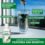 Land Art Chlorophylle Liquide Menthe — goût rafraîchissant dans l’eau pour usage quotidien