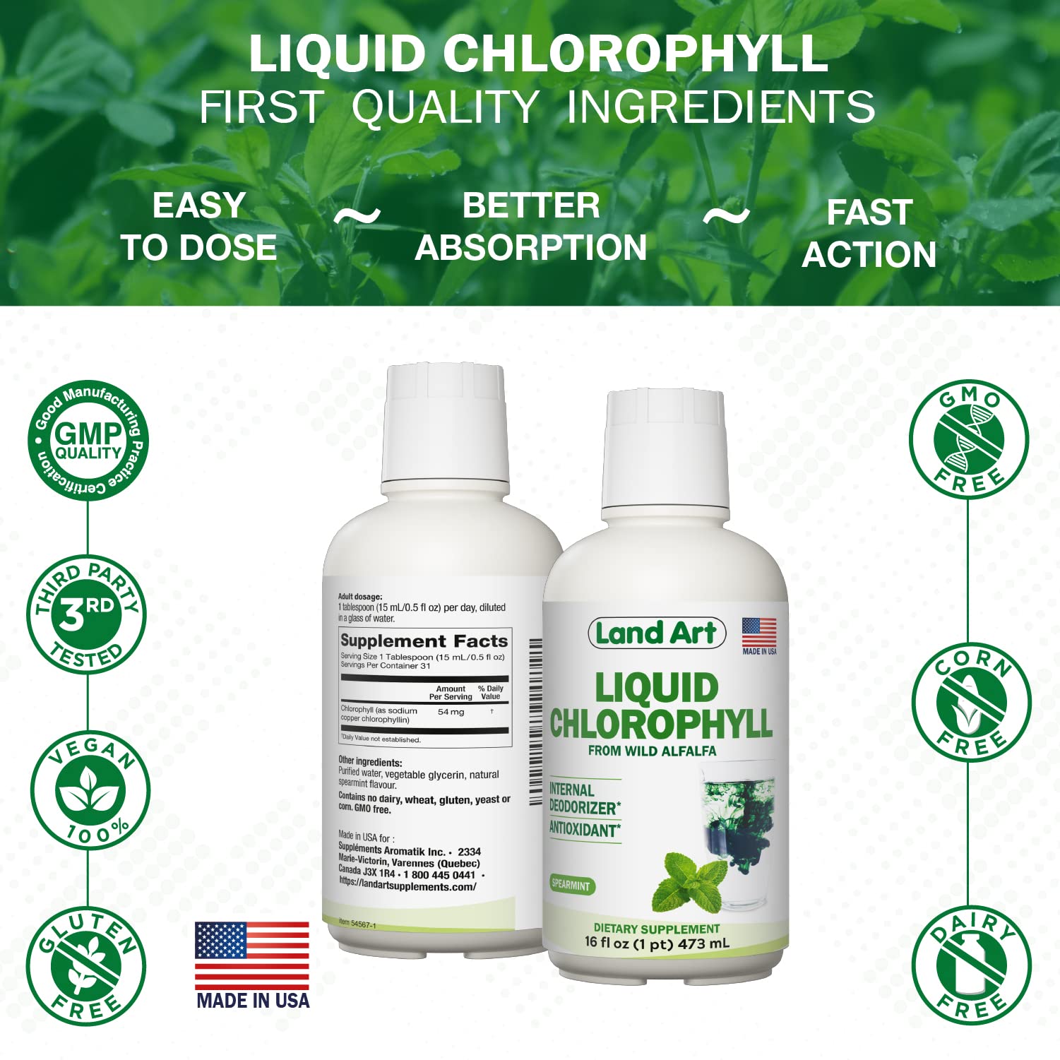 Land Art Chlorophylle Liquide Menthe — goût menthe, pratique pour routine detox