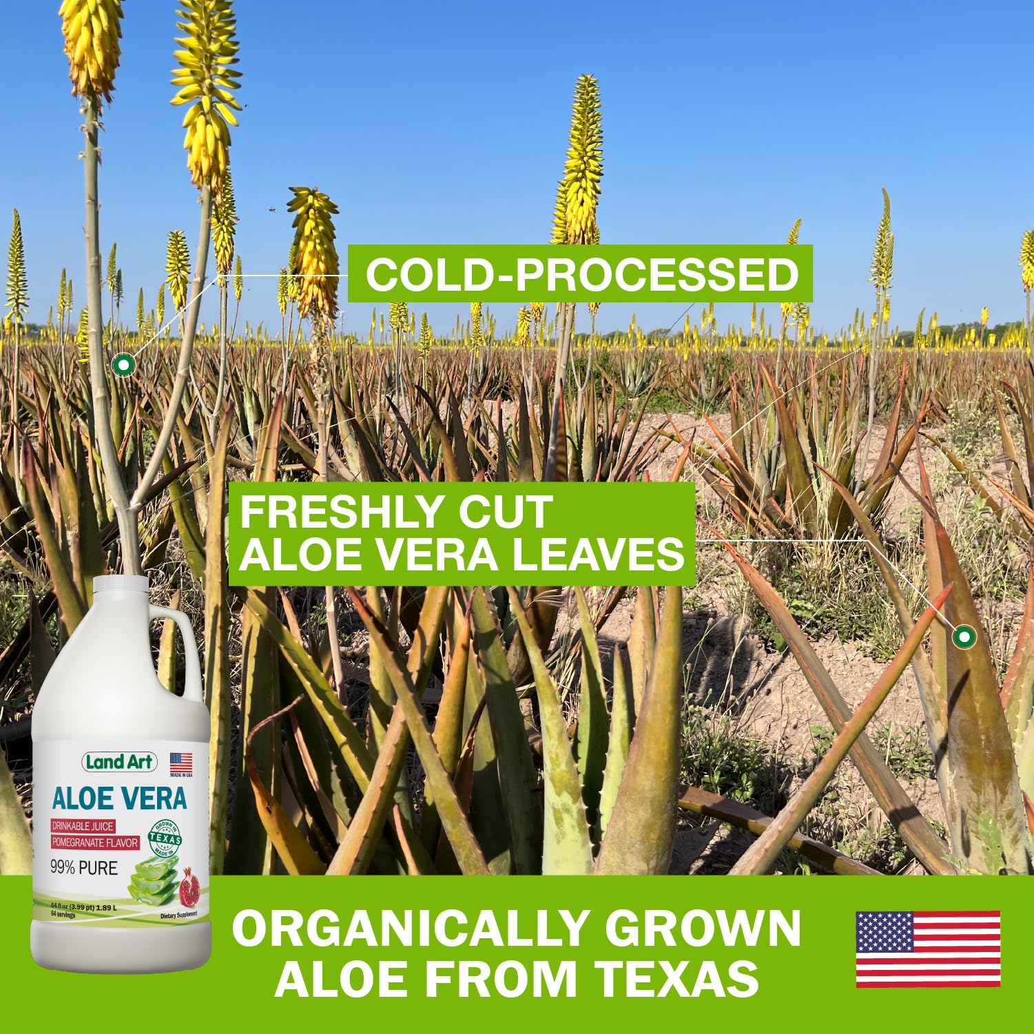 Étiquette certifiée OTCO pour Land Art Aloe Vera, garantissant l'origine biologique.