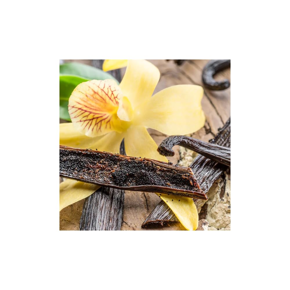 Langley Empire Candle, morceaux de cire 2,5 onces, idéal pour renouveler l'ambiance.