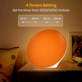 Lampe LASTAR Sun minuterie de 60 minutes pour routine simple.