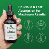 Ingrédients biologiques: curcuma, gingembre et poivre noir pour une synergie naturelle.