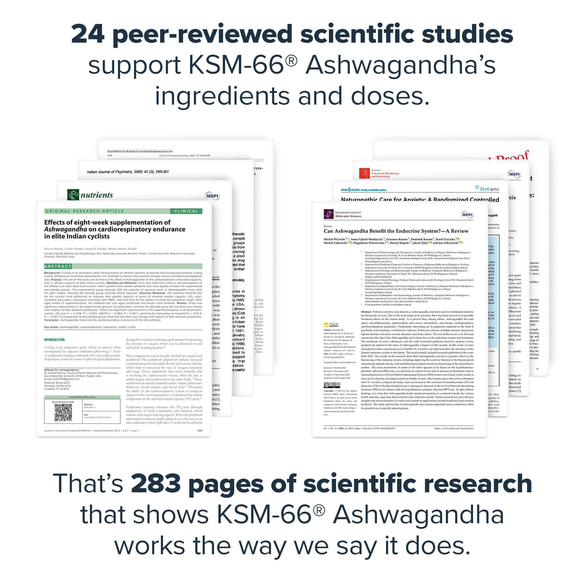 LEGION KSM-66 Ashwagandha – extrait standardisé à 5% withanolides pour une action concentrée.