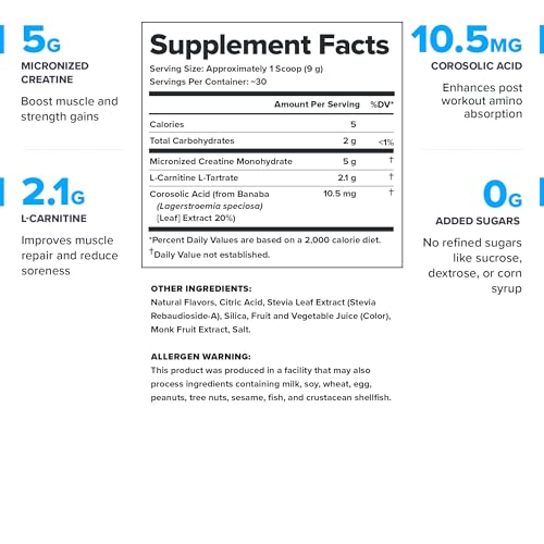 LEGION Recharge poudre creatine micronisee se dissolve rapidement, favorise recuperation