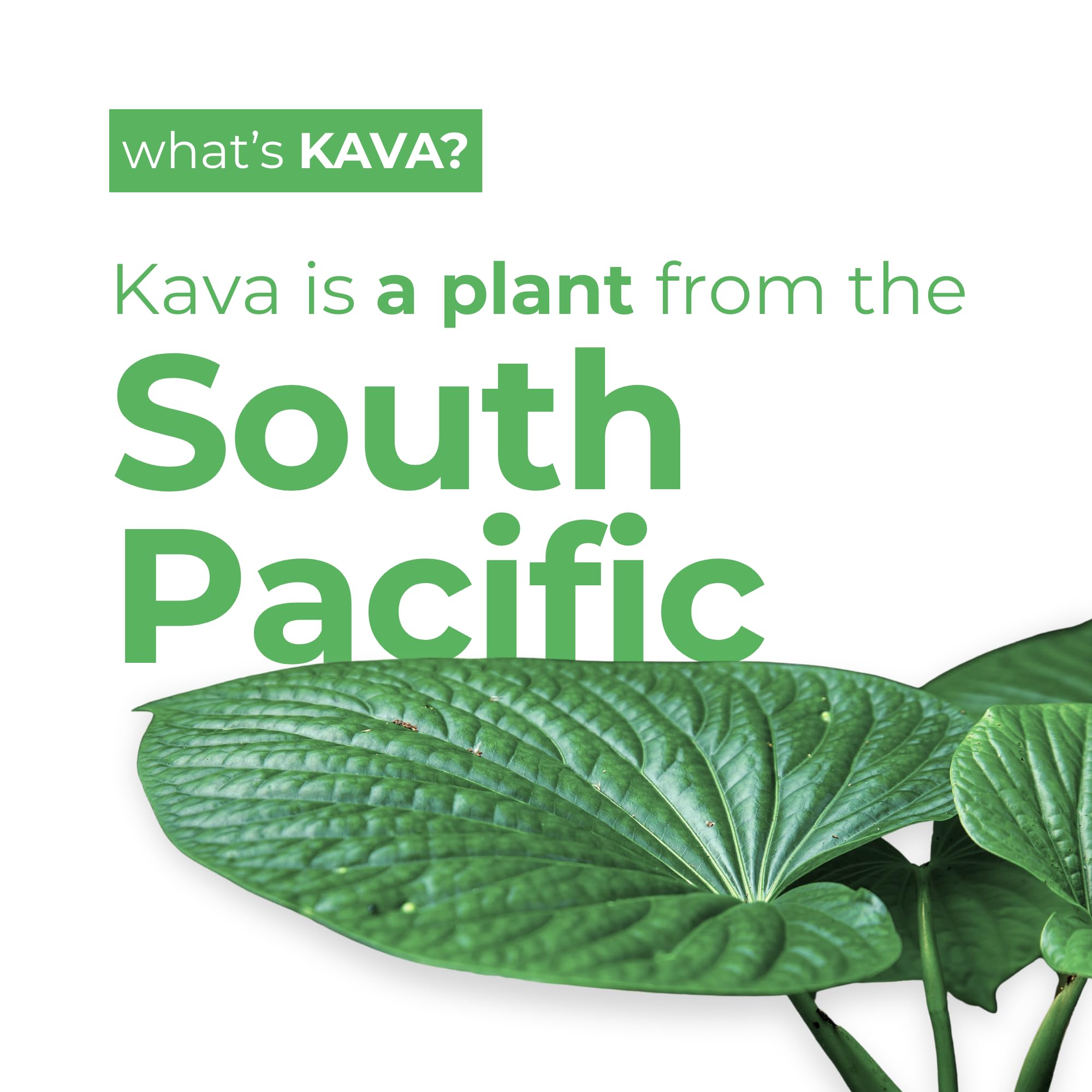 LEILO Kava pétillante Mûre Orange, saveur fruitée idéale pour une soirée détendue.