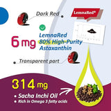 Traçabilité et sécurité à chaque étape de production LemnaRed.