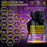 LetaGreen mousse de mer capsules, gélules noires au format identifiable