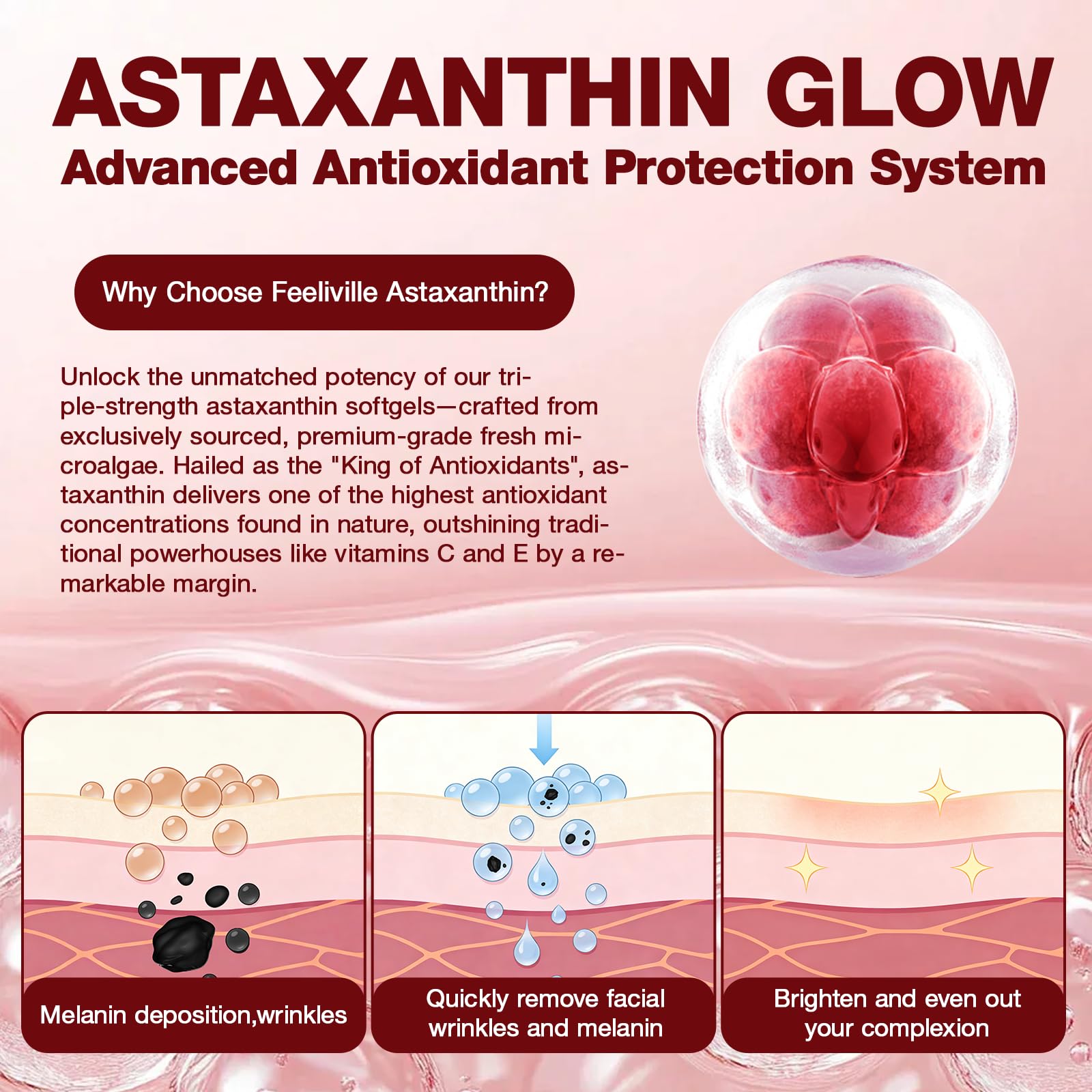 letollhold astaxanthine — soutien potentiel pour la vue et la jeunesse de la peau.