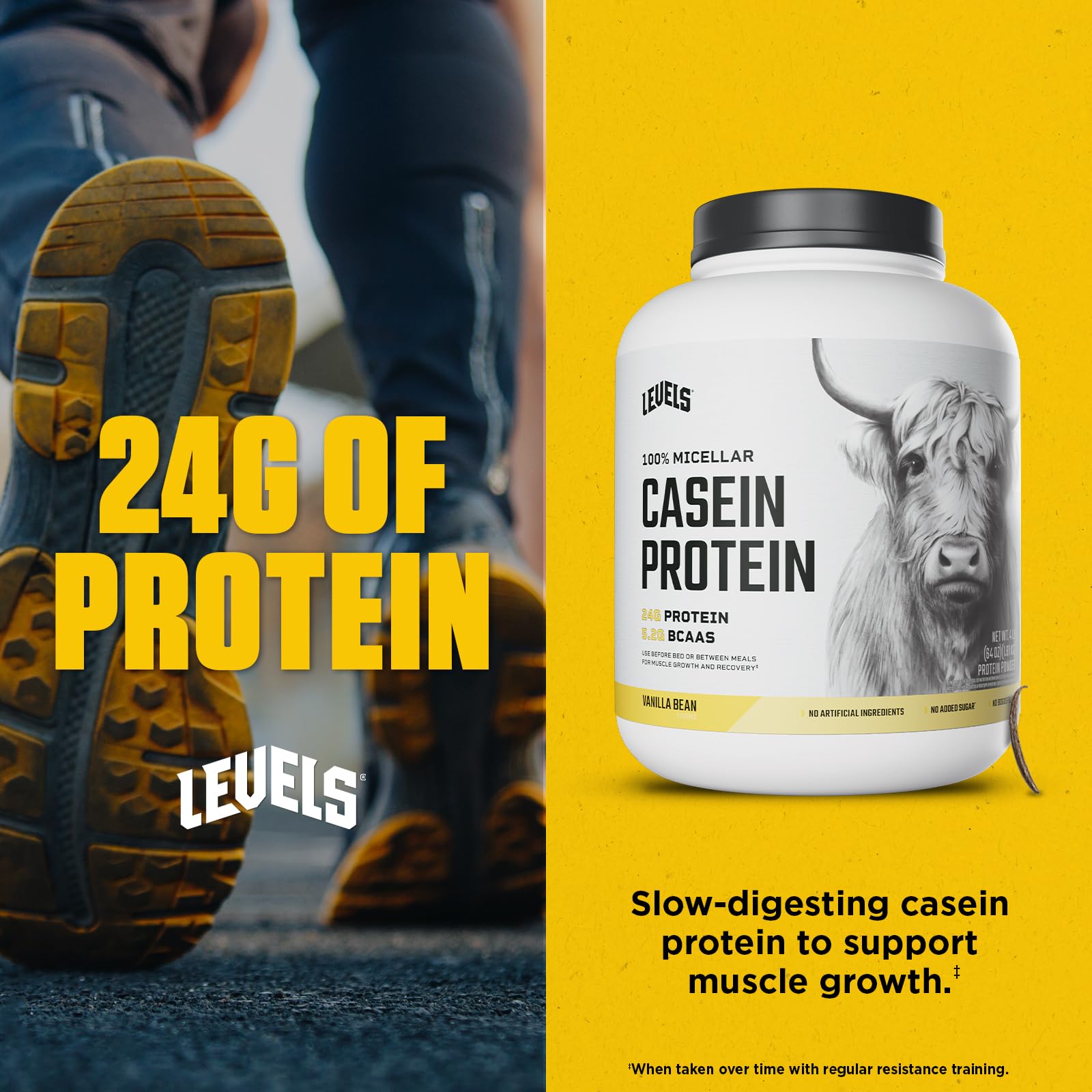 Levels Nutrition – shaker-verre pour mélanges rapides et onctueux.