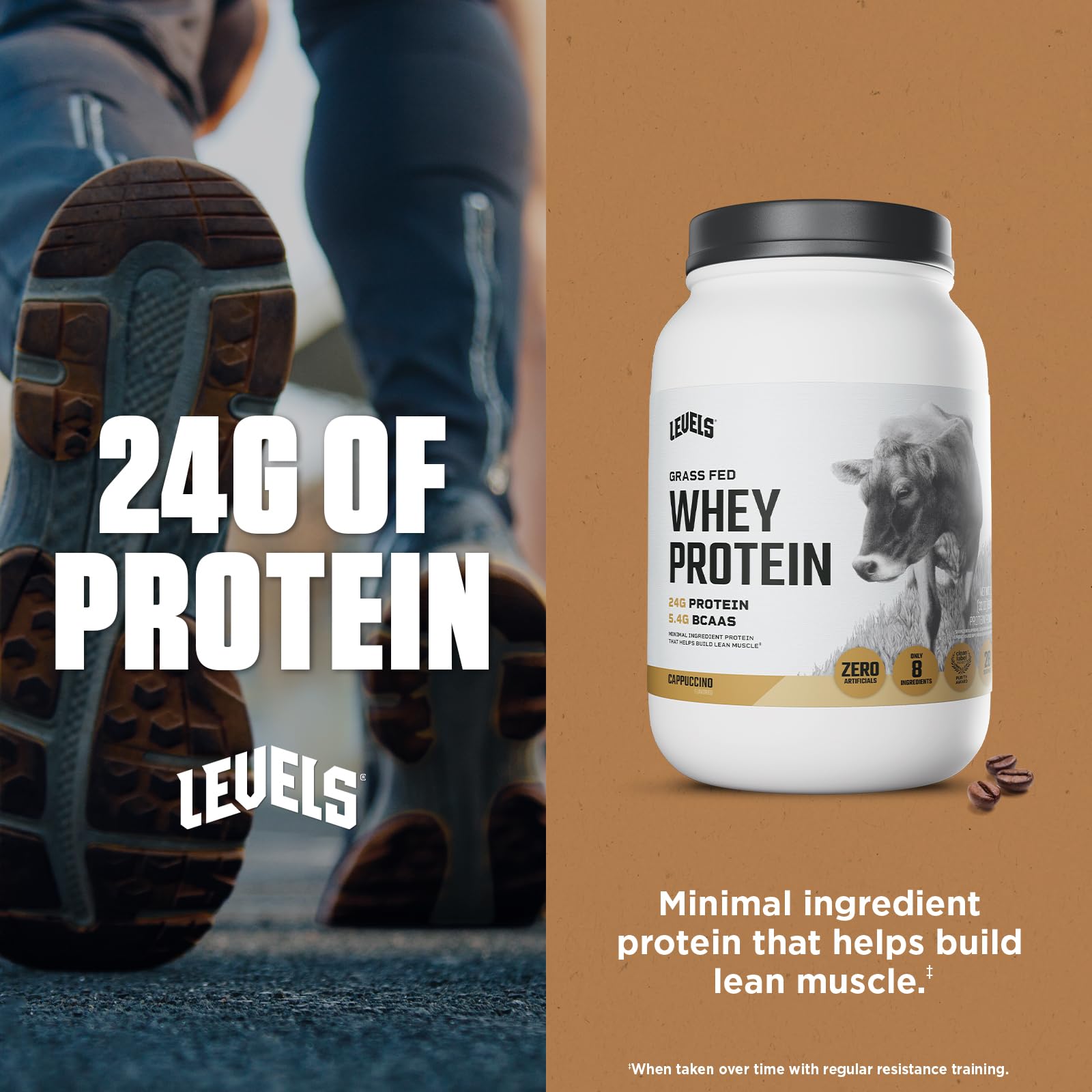 Levels Nutrition protéine petit-lait arôme cappuccino et creme